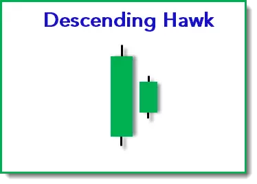 Descending Hawk